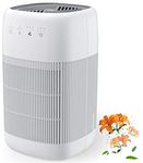 Afloia Q10 Dehumidifier Air Purifier for Home Bedroom Office (White)