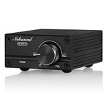 Nobsound 100W Full Frequency Mono Channel Digital Power Amplifier Audio Mini Amp (Full Frequency, Black)