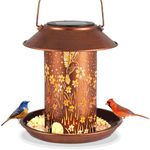 Tepaken Solar Bird Feeder for Outdoors Hanging, Metal Waterproof Wild Bird Feeder for Cardinals, Lantern Light for Garden Decor, Butterfly