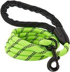 Strong Dog Leash, Reflective Rope, Chew Resistant Paracord for Medium and Large Dogs, Durable Metal Clasp, Attaches to Pet Collar (6 Foot, Green)