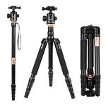 Camera Tripod, Andoer 153cm/60inch Foldable Portable Extendable Aluminium Alloy Tripod for Canon Nikon Sony DSLR Camera 1/4" Quick Release Plate, 360°Panorama Ball Head and a Carry Bag