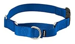 PetSafe Martingale Collar with Quic