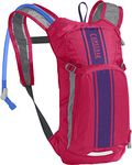 Mini M.U.L.E. Kids' Hydration Backpack - 50 oz Hot Pink/Purple Stripe