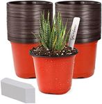 TDHDIKE 4" Small Plastic Plant Nurs