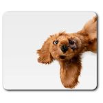 English Cocker Spaniel Puppy Dog Mouse Mat Pad Computer PC Laptop Gaming Office Home Desk Accessory Gadget 21501