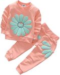 Toddler Baby Girls Sunflower Clothes Set Long Sleeve Top and Pants 2pcs Outfits Fall Clothes (Age(2T), Pink)