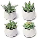 CADNLY Fake Succulent Plant Set - A