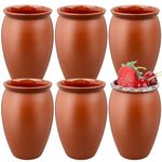 Anzices Cantaritos De Barro, 6 Pack Mexican Party Cups Mini Pottery Shooters Cocktail Glasses Glazed Clay Mugs for Tequila, Margaritas, Mojitos, Jarritos De Barro Mexicanos, Taco Tuesday - 12 Oz