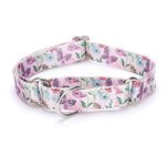 haoyueer Heavy Duty Nylon Adjustable Martingale Dog Collar for Walking Training Boy and Girl Dogs (L:45-53CM, Hornflower)