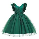 Weileenice Flower Girl Lace Dress Emerald Green Wedding Party Wear Pageant Prom Dance Birthday Princess Ball Gown Holiday Fancy Embroidery Butterfly Tulle Christmas Dresses Kids Reception Gowns 2 3