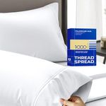 THREAD SPREAD 100% Egyptian Cotton 