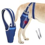 GoGoPaw Dog Knee Brace for Torn ACL Hind Leg–Adjustable Support Dog Leg Brace for Back Leg for Luxating Patella, Ligament Injuries, CCL, Reduces Pain for Small Medium Large Dogs (Blue, Left Leg, S)