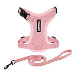 Voyager Step-in Lock Pet Harness - 