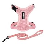 Voyager Step-in Lock Pet Harness - 