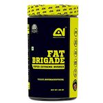 Absolute Nutrition’s FAT BRIGADE 400 GMS (MASALA FIZZ)