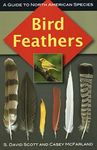 Bird Feathers: A Guide to North Ame