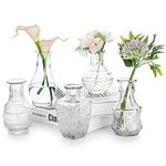 Vintage Clear Glass Bud Vase, Glasseam Set of 5 Crystal Small Mini Flower Decor Vases Antique Decorative Small Opening Short Vase Multi Rustic Aesthetic Wedding Table Centerpiece