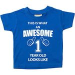 60 Second Makeover Limited This is What an Awesome 1 Year Old Looks Like Blue Tshirt 1st Birthday Baby Toddler Kids Available in Sizes 0-6 Months t