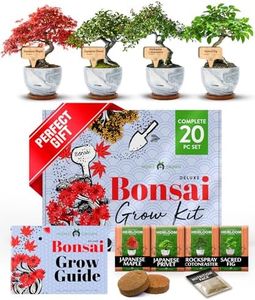 HOME GROWN Bonsai Tree Kit - Premium Ceramic Starter Kit - 4 Variety of Bonsai - Unique Gift for Men and Women Gardeners (BK2-2nd-MF)