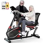 HARISON Recumbent Exercise Bike wit