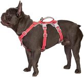 Escape Proof Dog Harness, Secure Do