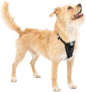 Kurgo Tru-Fit Enhanced Strength Dog Harness - Crash Tested Car Safety Harness for Dogs, No Pull Dog Harness, Includes Pet Safety Seat Belt (Black, Small)
