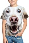 Kid All Over Print 3D Graphic Funny Dog Face Short Sleeve T Shirts for Boys Girls, Habagou, 13-14 Years