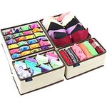 Ticent & Co. Bra Underwear Drawer Organiser, Collapsible Closet Dividers and Foldable Storage Box for Socks, Neck Ties, Scarves, and Handkerchiefs, Set of 4