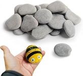 Simetufy 35 River Rocks for Painting, Painting Rocks Bulk for Adults, 2-3 Inches Craft Rocks, Flat Rocks for Painting, Smooth Painting Rocks for DIY Project, Gray Kindness Stones for Family Time