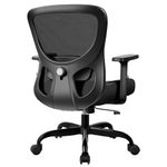 Razzor Office Chair Ergonomic Desk Chair with Adjustable Lumbar Support, Swivel Comfy Computer Chair Heavy Duty Executive Chair for Home Office (Black)