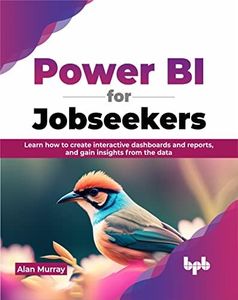Power BI for Jobseekers: Learn how to create interactive dashboards and reports, and gain insights from the data (English Edition)