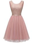 BeryLove Sequin Dress Vintage A Line Wedding Formal Swing Tulle Dress Sleeveless Cocktail Mini Dress, Tulle Sequin Blush, Medium