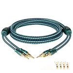 SKW Entry Level HC Series Single Speaker Cable with Convertible Banana and Spade Plugs 10ft/3M (One Cable)