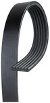 Gates K060841 Serpentine Belt/Fan Belt