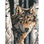Dimensions Needlecrafts Paintworks Paint By Number, Wolf Among Birches