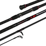 Fiblink Surf Spinning Fishing Rod 4-Piece Graphite Travel Fishing Rod (Length: 11')