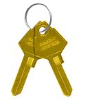 Salsbury Industries 2099 Key Blanks for Standard Locks of Brass Mailboxes (Box of 50)