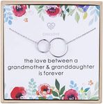 CHICLOVE Grandmother and Granddaughter Gifts Necklace -925 Sterling Silver Two Interlocking Infinity Double Circles Necklace Family Jewelry