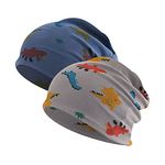 FUYAO Baby Kids Beanie Hat 2 Pack Dinosaur Printed Cotton Skull Cap Spring Autumn Winter Warm Hat for Toddler Little Boys (3-6 Years) Grey