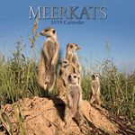 Meerkats 2