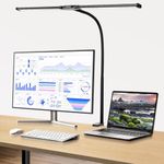 Long Desk Lamp