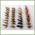 Sedge Trout Flies, 36 Bumper Pack, 12 Different Patterns, size 10/12, dry trout flies, fishing flies SF5Y