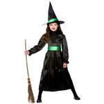 Kids Wicked Witch Fancy Dress Costume - Large (Age: 8-10)