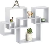 Interlocking Shelves