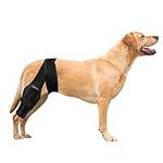 Spring.Rd Dog Pet Knee Brace For Support With Cruciate Ligament Injury, Joint Pain And Muscle Sore, Better Recovery With Dog ACL Knee Brace, Adjustable Rear Leg Braces For Dogs Knee Brace (Medium)