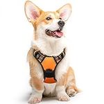 Eagloo Dog Harness Medium Sized Dog