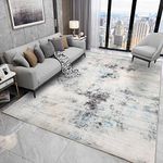 Cinknots Rugs Modern Soft Abstract Area Rugs for Living Room/Bedroom/Kitchen & Dining Room,Medium Pile Home Decor Carpet Floor Mat (Grey9, 6' 6" x 8' 2" Rectangular)