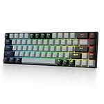 HUO JI 65% RGB Gaming Keyboard, E-Y