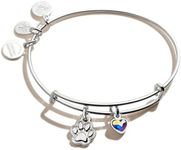 Alex and Ani Tokens Expandable Wire