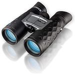 STEINER binoculars BluHorizons 10x42 - German quality optics, high magnification, reduces reflections or glare from water, sand or snow